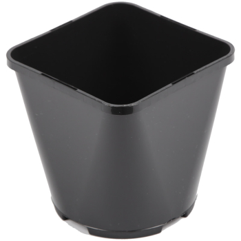 Square/Round Slotted Pot 2L