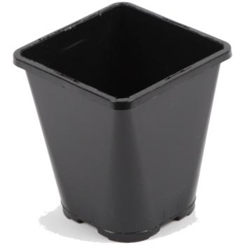 Square/Round Slotted Pot 3L