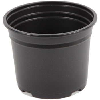 Thermoformed Pot 3L