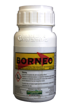 Borneo®