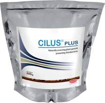 Cilus Plus