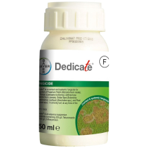 Dedicate® Dedicate®