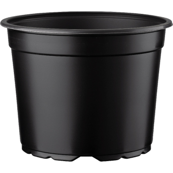 Container Pot 23cm