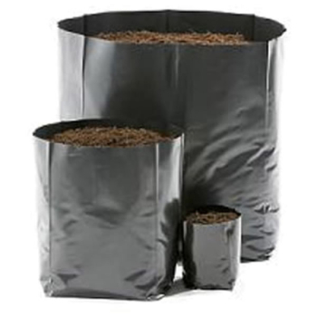 Hadopot HP11 Hadopot HP11