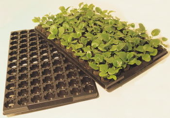 Jiffy-7 Pre-loaded growing tray 33mm in 60 cell
