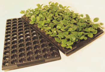 Jiffy-7 Pre-loaded growing tray 41mm in 60 cell Jiffy-7 Pre-loaded growing tray 41mm in 60 cell