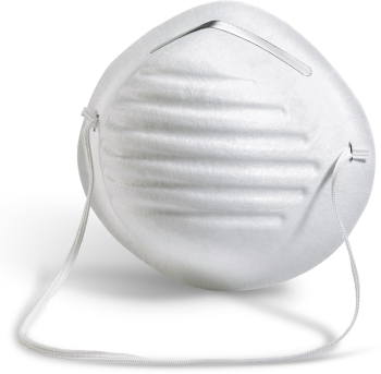 B Brand Disposable Dust Mask B Brand Disposable Dust Mask