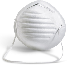 B Brand Disposable Dust Mask B Brand Disposable Dust Mask