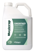 Maxicrop Concentrate