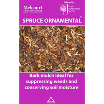 Melcourt Spruce Ornamental<sup>(TM)</sup>