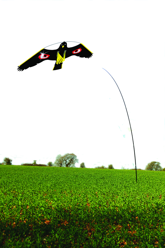 Bird Scarers Terror Kit Bird Scarer Kit - BHGS Ltd