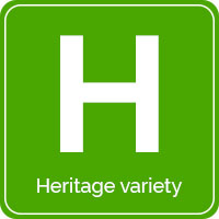 Heritage Potato Variety