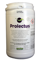 Prolectus WG