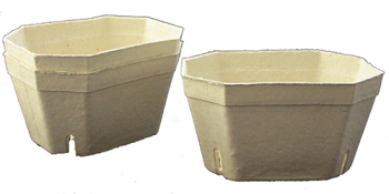 Pulp Punnet Rectangular 1Kg Pulp Punnet Rectangular 1Kg