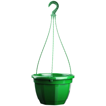 Hanging Pot 25cm with Hanger Pine Green