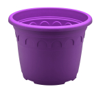 Roma 2L Pot Purple