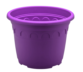 Roma 3L Pot Purple