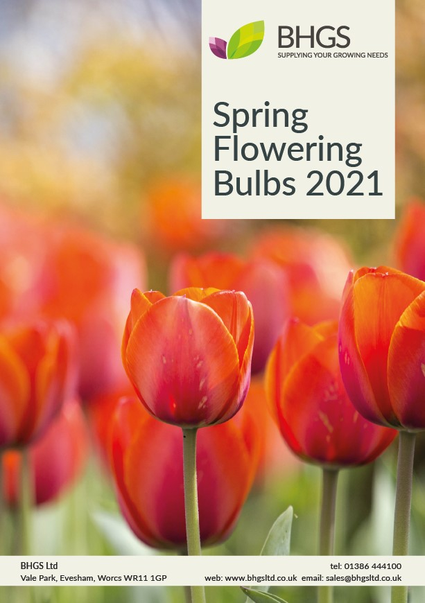 Spring Flowering Bulbs Brochure