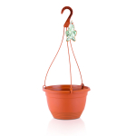 Hanging Basket 30cm + 60cm Hanger Terracotta Hanging Basket 30cm + 60cm Hanger Terracotta
