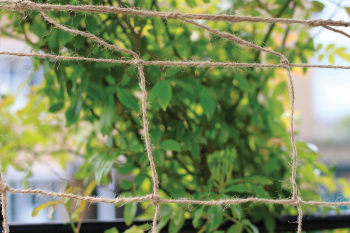 Jute Support Netting Jute Support Netting