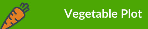Vegetable Plot
