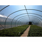 BPI Lumisol Diffused Polysheet 11.1 x 20m 180mu