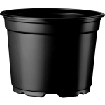 Thermoformed 5&deg; Pot 10.5cm High