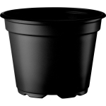 Thermoformed 8&deg; Pot 13cm Low