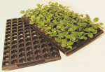 Jiffy-7 Pre-loaded growing tray 24mm in 104 cell