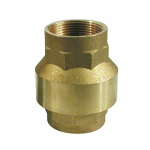 Check Valve 2" Female