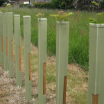 Defender Pro Tree Shelter 75cm