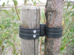 EasiFix Tree Tie 1.5"