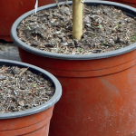 Sinclair Pot Topper 90L