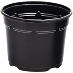 Duo &reg; 5&deg; Low Pot 2L