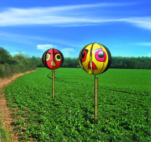 Hawk Eyes Bird Scarer