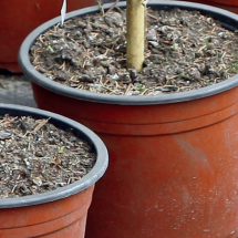 Sinclair Pot Topper 90L