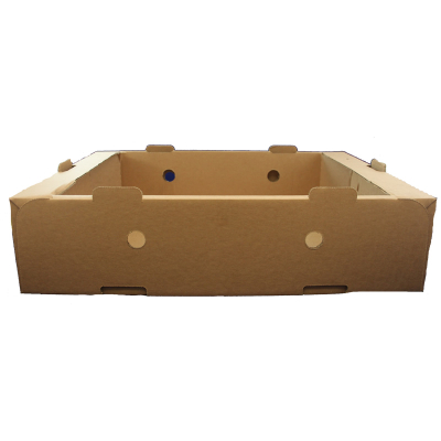 Produce Box 6lb