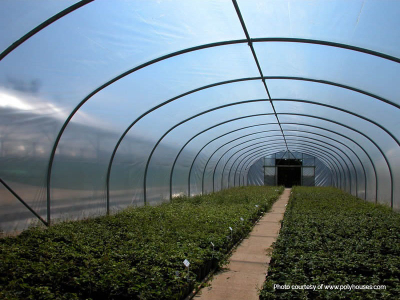 BPI Lumisol Diffused Polysheet 9.2 x 50m x 180mu