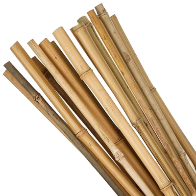 Canes 7ft (40/45)