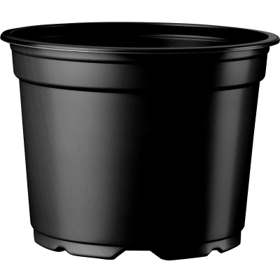 Thermoformed 5° Pot 10.5cm High