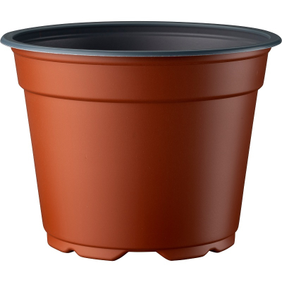 Thermoformed 8° Pot 12cm Low