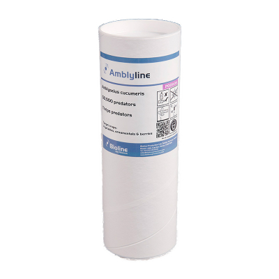 Amblyline - 1L tube