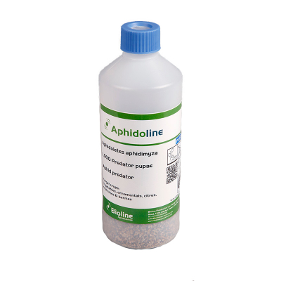 Aphidoline - 500ml Bottle