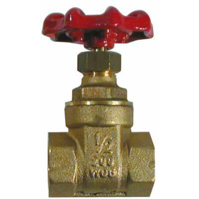 Gate Valve 1Inch Female
