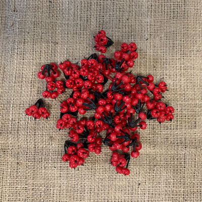 Cluster Berries (10 bags)