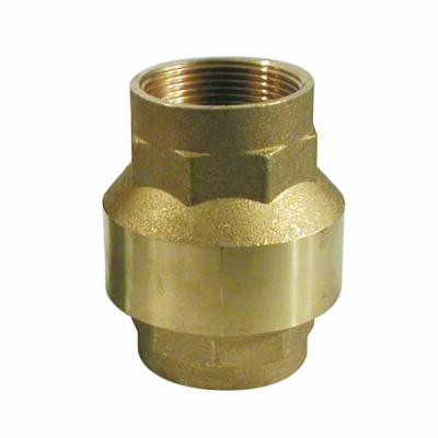 Check Valve 2Inch Female