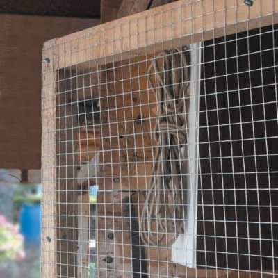 Galvanised Welded 25mm Mesh 90cm x 6m