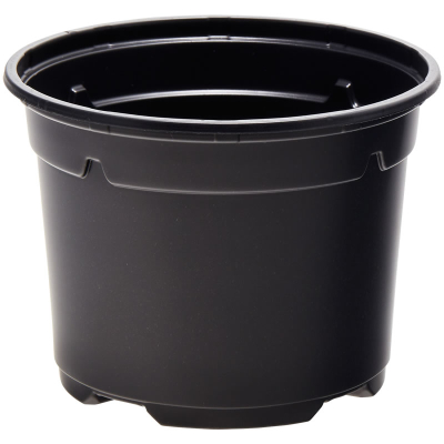 Duo &reg; 5° Low Pot 10.5cm
