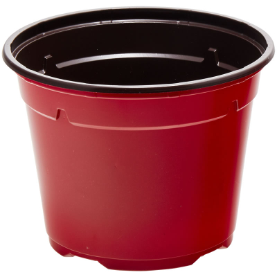 Duo &reg; 8° Low Pot 13cm