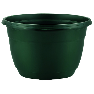 Hanging Basket 27cm + 45cm Hanger Pine Green